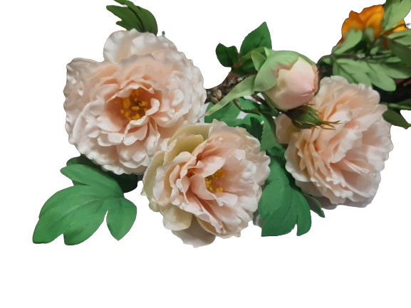 0e6c27333553aaef9602218473c54d0c