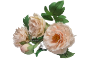 c6fb98c94fe0b8ec20b54153575ebd37