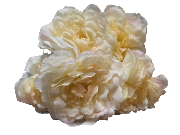 BUKIET 5 OKAZAŁYCH KWIATÓW - PEONIA 54CM