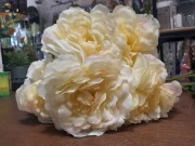 BUKIET 5 OKAZAŁYCH KWIATÓW - PEONIA 54CM