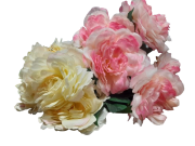 BUKIET 5 OKAZAŁYCH KWIATÓW - PEONIA 54CM