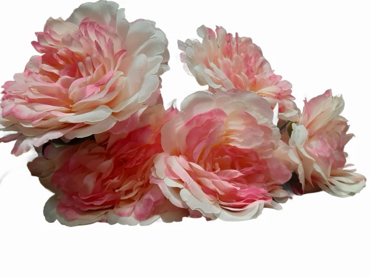 BUKIET 5 OKAZAŁYCH KWIATÓW - PEONIA 54CM