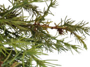 de62629b8cbbcf73157ea3f787d94019