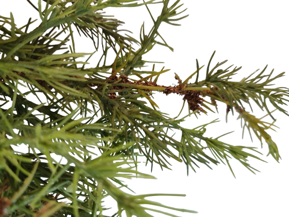 de62629b8cbbcf73157ea3f787d94019