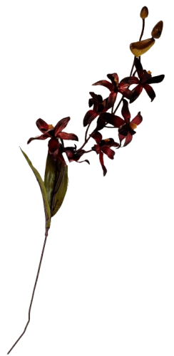 e14179383b1711ff2e367cf707eeb777