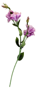 SZTUCZNY KWIAT EUSTOMA 80CM MIX KOLORÓW