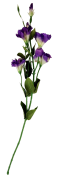 SZTUCZNY KWIAT EUSTOMA 80CM MIX KOLORÓW