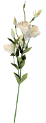 SZTUCZNY KWIAT EUSTOMA 80CM MIX KOLORÓW