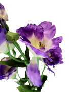 SZTUCZNY KWIAT EUSTOMA 80CM MIX KOLORÓW
