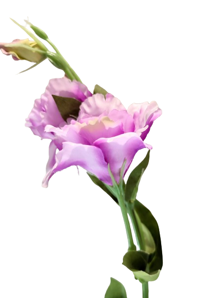 SZTUCZNY KWIAT EUSTOMA 80CM MIX KOLORÓW