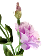 SZTUCZNY KWIAT EUSTOMA 80CM MIX KOLORÓW