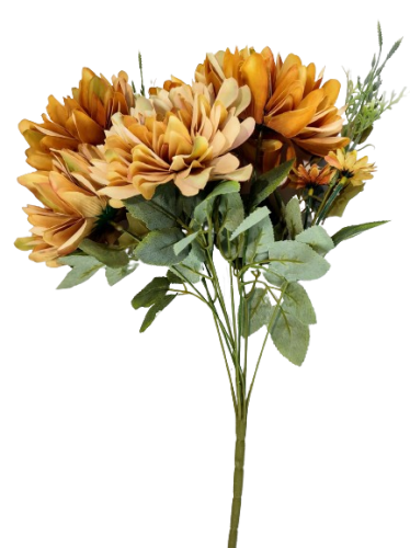 067dc06c3df39a42e567d06209f6fe4c