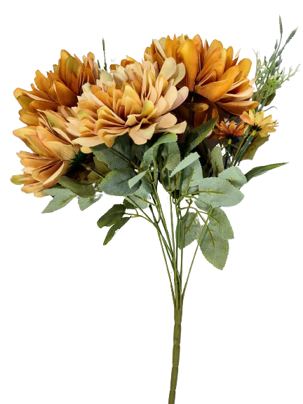 067dc06c3df39a42e567d06209f6fe4c