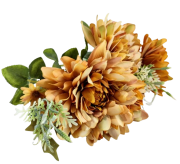 4cd0d0c53f561a4590837bcd76653740