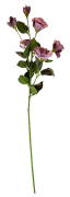 KWIAT SZTUCZNY EUSTOMA RÓŻ 80CM