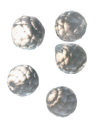 2b88216a39088740bd9b05d6468a38a4