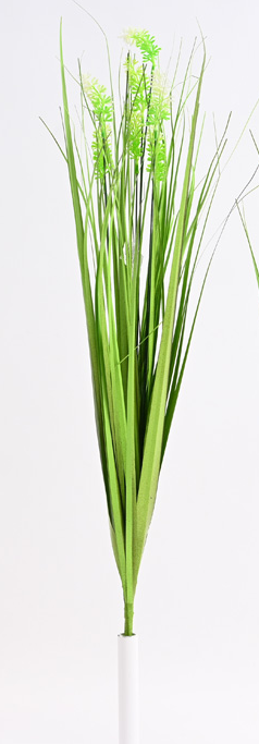 709d223a9c5baeb31142a182003e7029