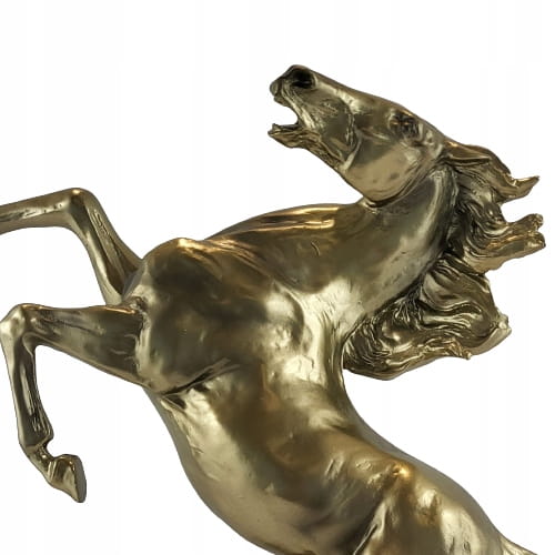 ca94c939875b5baa32f49c5797f4c836