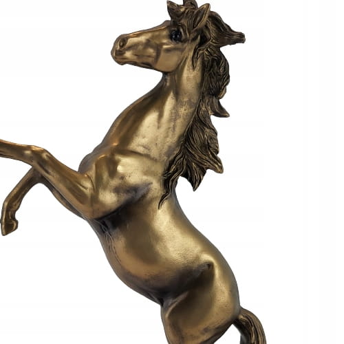 5607d1fd1260a6d6ae4d9c15cc5b9bbe