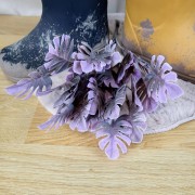 61972ff059b73d8d52c136ab0dfe26c7