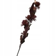 dd99fa5f020a214e9b865c5d3208a0c5