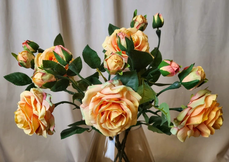 6848de870fc8565241e0df15011b0668