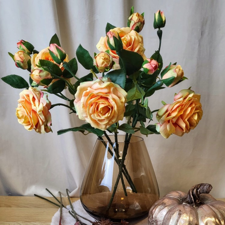 e849872bad9091709d968f1a37ffb4fe