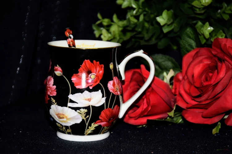 c6585e4138c50afda7fd4373fe29f8bf