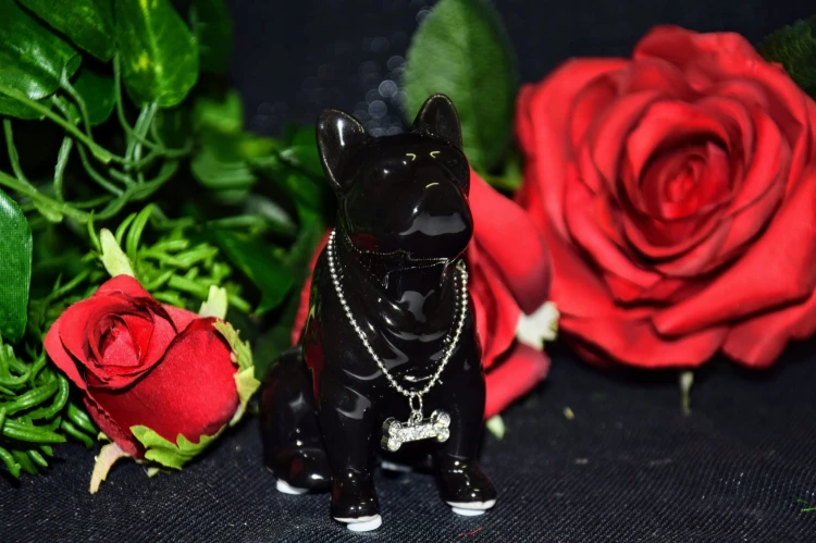 664fffb4f1b6d0511ebf0f6d258ab22c