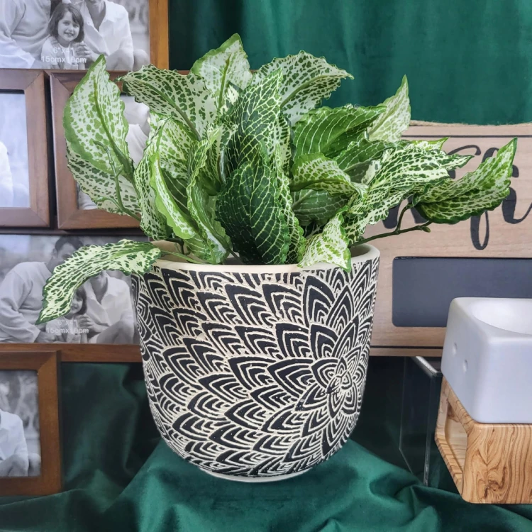 59bde0a20296b0284d00fe339abeec7c