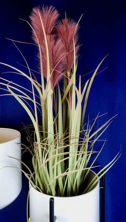 57078103f18e8a8b7ba6d00c1819e8c3