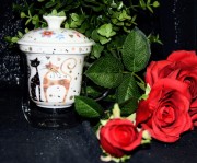 81bcb693a7fe769c439f80bd9c75b267