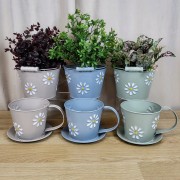 cc1e1103bf8fe63de80b9e5a17030e11