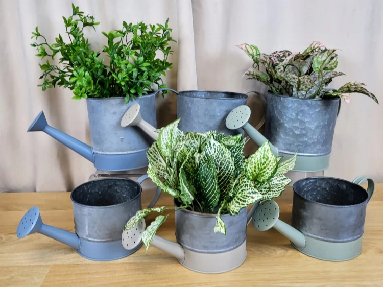 2c3362b863de5dc03a266020a5627b62