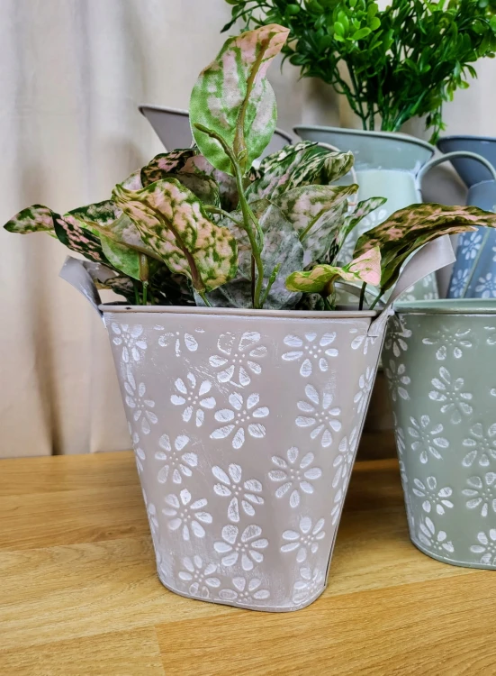 579e73b5b14217c5c5f6c69d825742bc