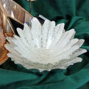 067040072f615e37516afaf04b9a237a