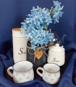 53fc147e58e7721ebc5c9754f8b3b2f1