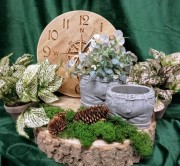 9e3ac93385de0ed95cbe4ff8061caa64