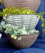 95edfa949aab5347f13e0e79483b7731