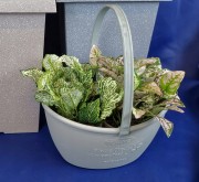 5212c3cbe26aa07e137e2c8fd39eadf1