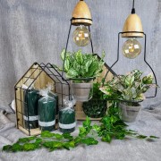 c580a99049e159c340f482814f9bc326