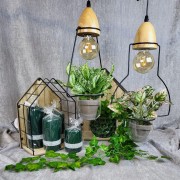 c50c8bba90ed0edc7deed2c76a245292