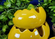 5e0da6f3cecffbbeade940270120e976