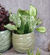 68f1c7b0ccb33deeeaeeded46602f2ce