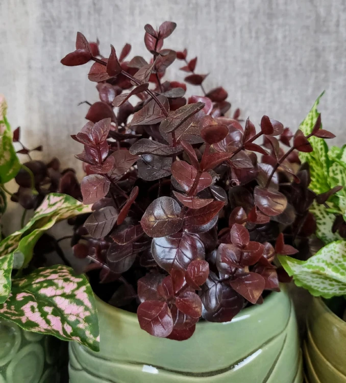 c0b827015f778cc57dbeeaea67978d78