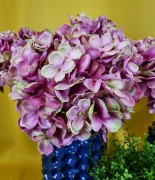 f30ba36fa0565cce97b717be9a61c02b