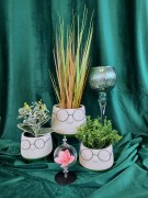 9349ca1837a95a62bf212393739f8759