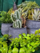 e59bf645111dca919d3acc6c298eeb0a