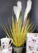 48414fcea194b8fded82d1b344d53f5a