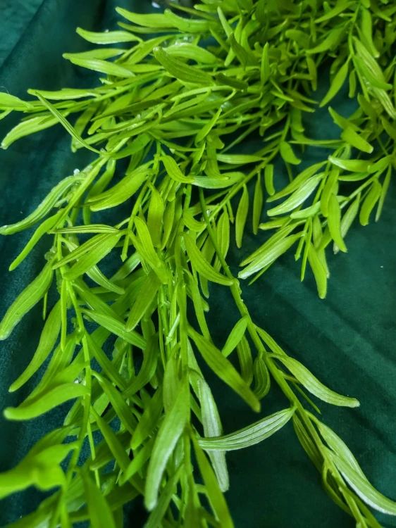 ee3b7fa8e42e06f6c69b447c434a1689